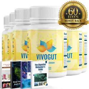 myvivogut