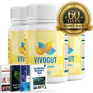 vivo gut